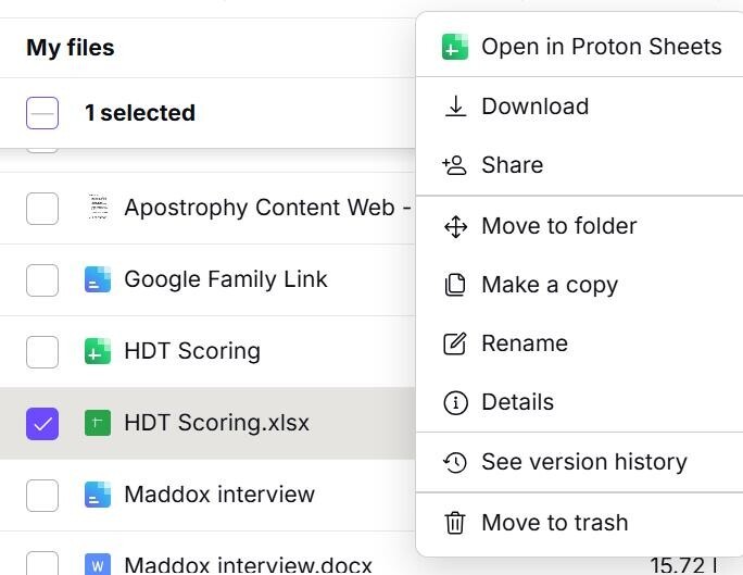 Proton Drive File Conversion